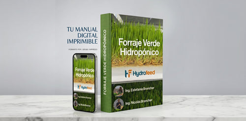 Manual Imprimible