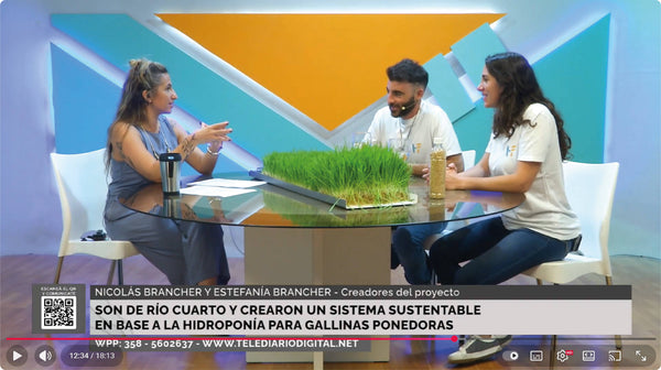 TELEDIARIO DIGITAL