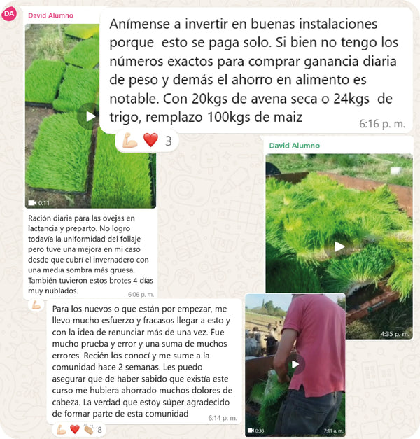 Testimonio