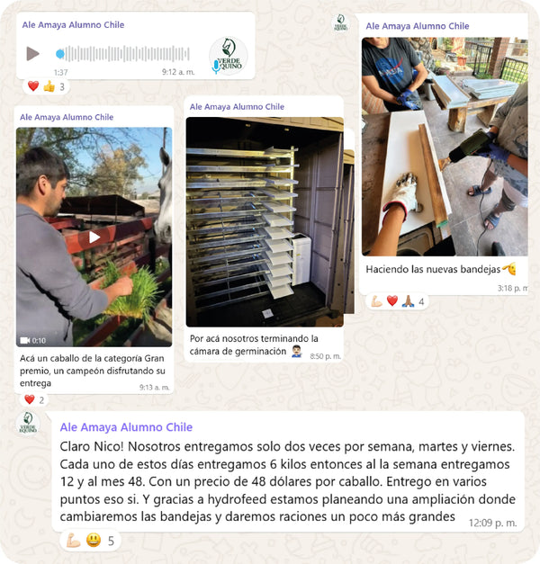 Testimonio