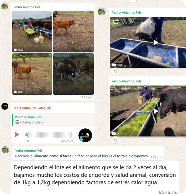 Testimonio