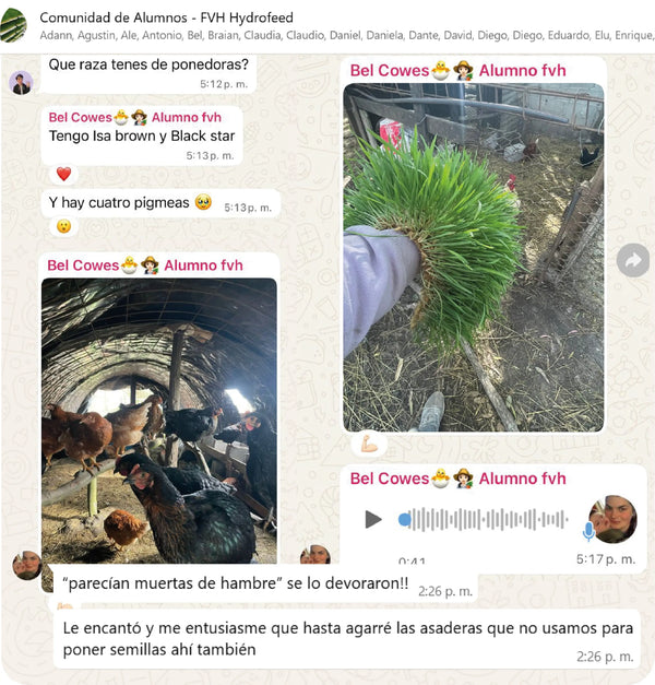 Testimonio