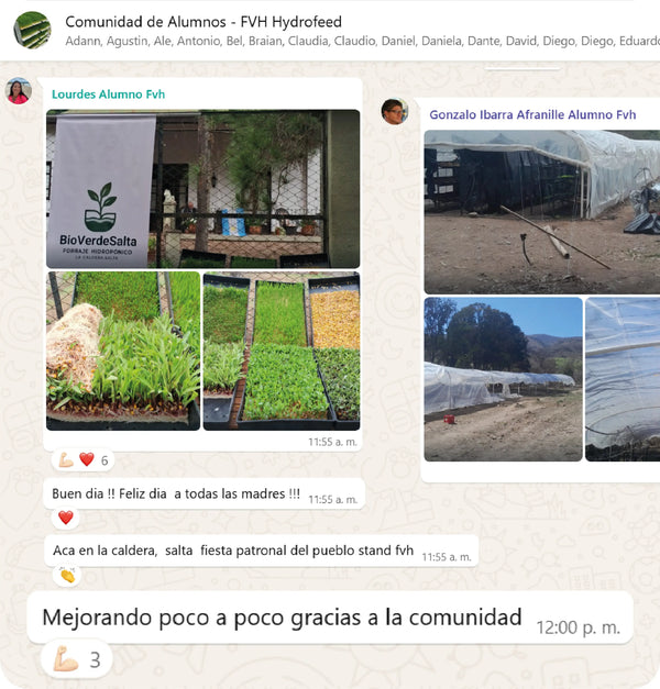 Testimonio