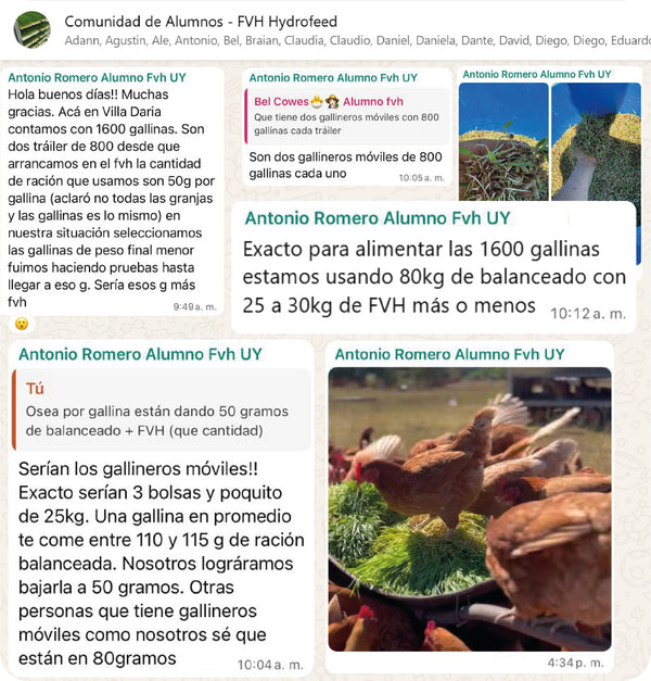 Testimonio