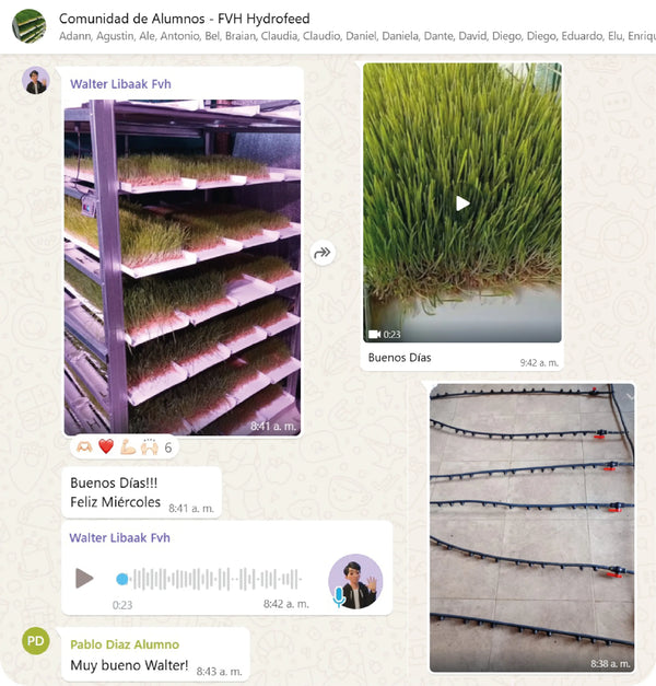 Testimonio