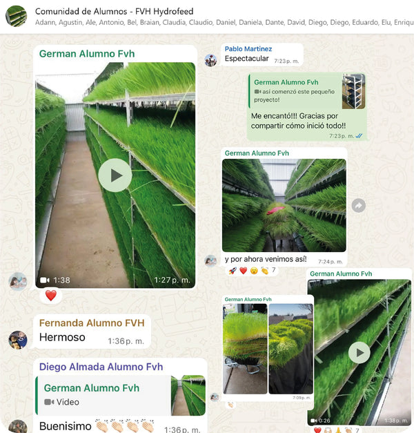 Testimonio