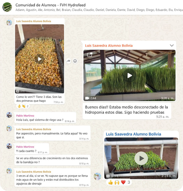 Testimonio