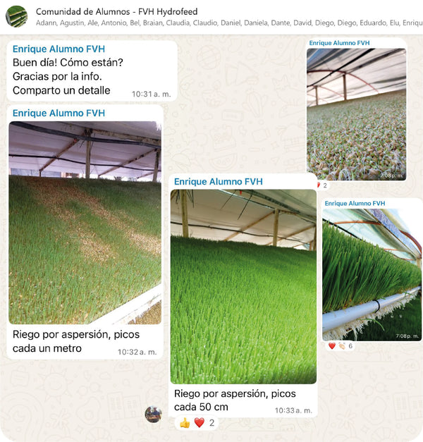 Testimonio