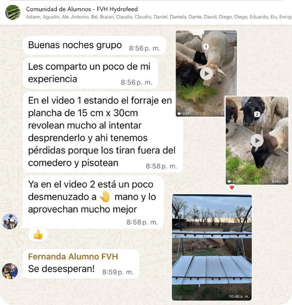 Testimonio